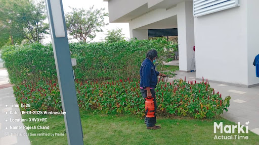 ANTIBUG PEST CONTROL SERVICES ANTIBUG PEST CONTROL SERVICES