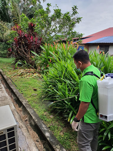 AntiAnt Pest Control Klang Valley - Selangor AntiAnt Pest Control Klang Valley - Selangor
