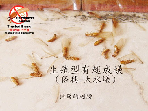 BIO Termites Control West Malaysia