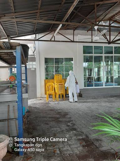 pest control pest control