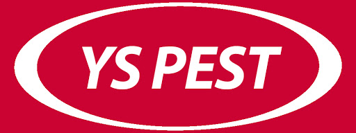 Ys Pest Control Management Ys Pest Control Management