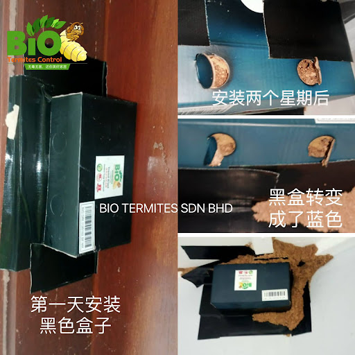 Bio Termites Control Bkt.Mertajam