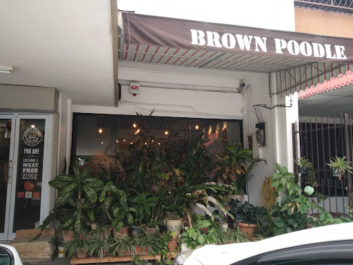 Brown Poodle Cafe Brown Poodle Cafe