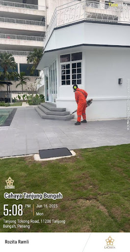 JP Pest Management (Pest Control Company) JP Pest Management (Pest Control Company)