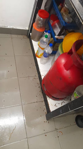 A.S PEST CONTROL A.S PEST CONTROL