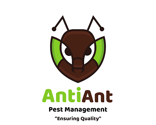 AntiAnt Pest Control Perak AntiAnt Pest Control Perak