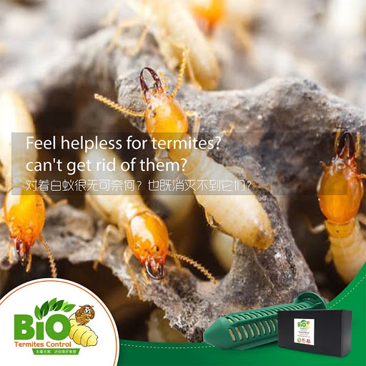 BIO TERMITES CONTROL PERAK 霹雳环保灭白蚁专家-Termites Hunter Nicus BIO TERMITES CONTROL PERAK 霹雳环保灭白蚁专家-Termites Hunter Nicus
