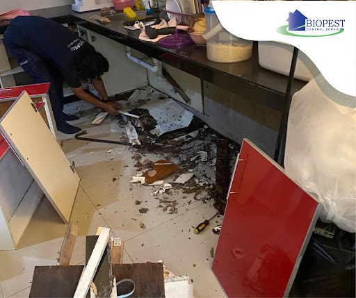 Biopest Control Services Biopest Control Services