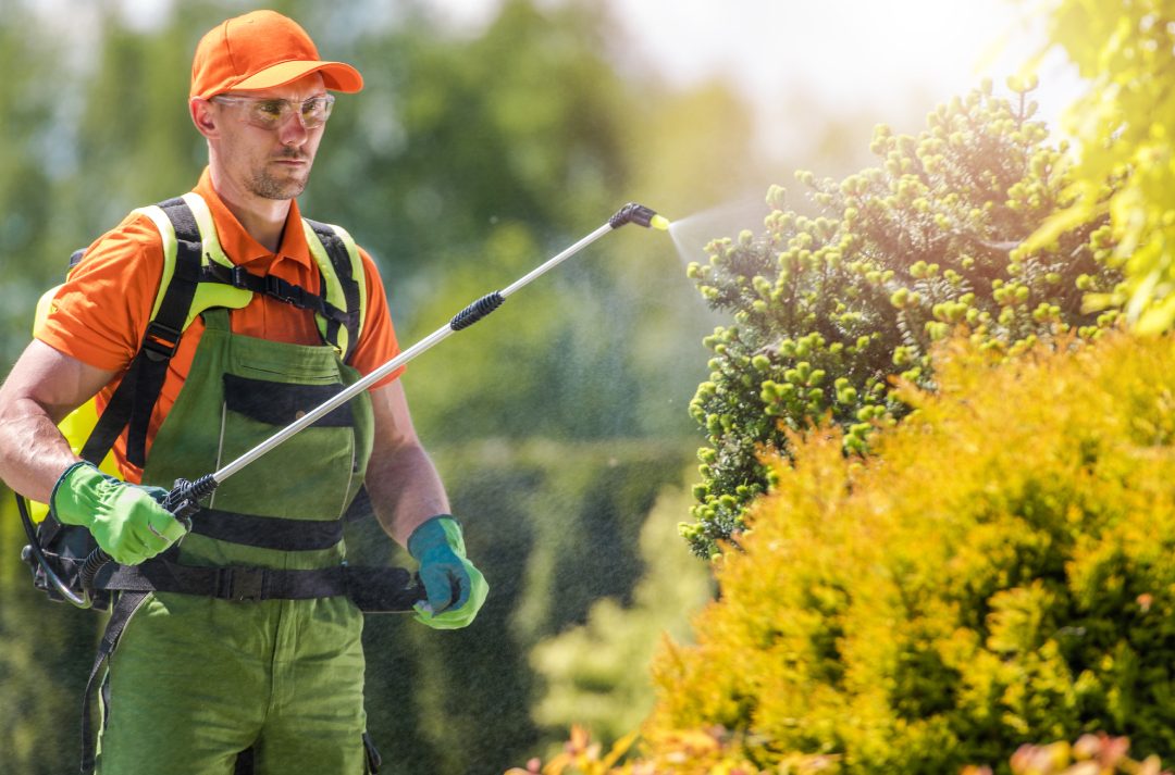 Gard Pest Control 1 gard pest control