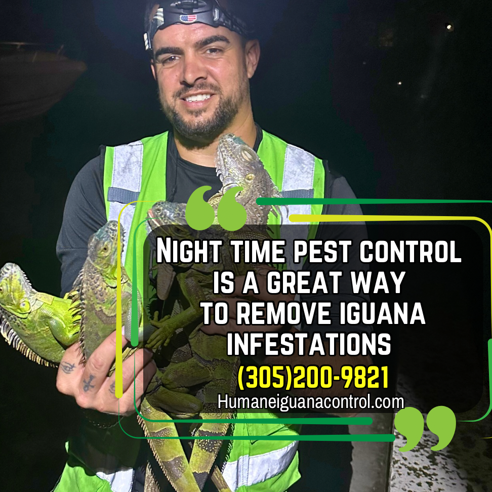 greatway pest management