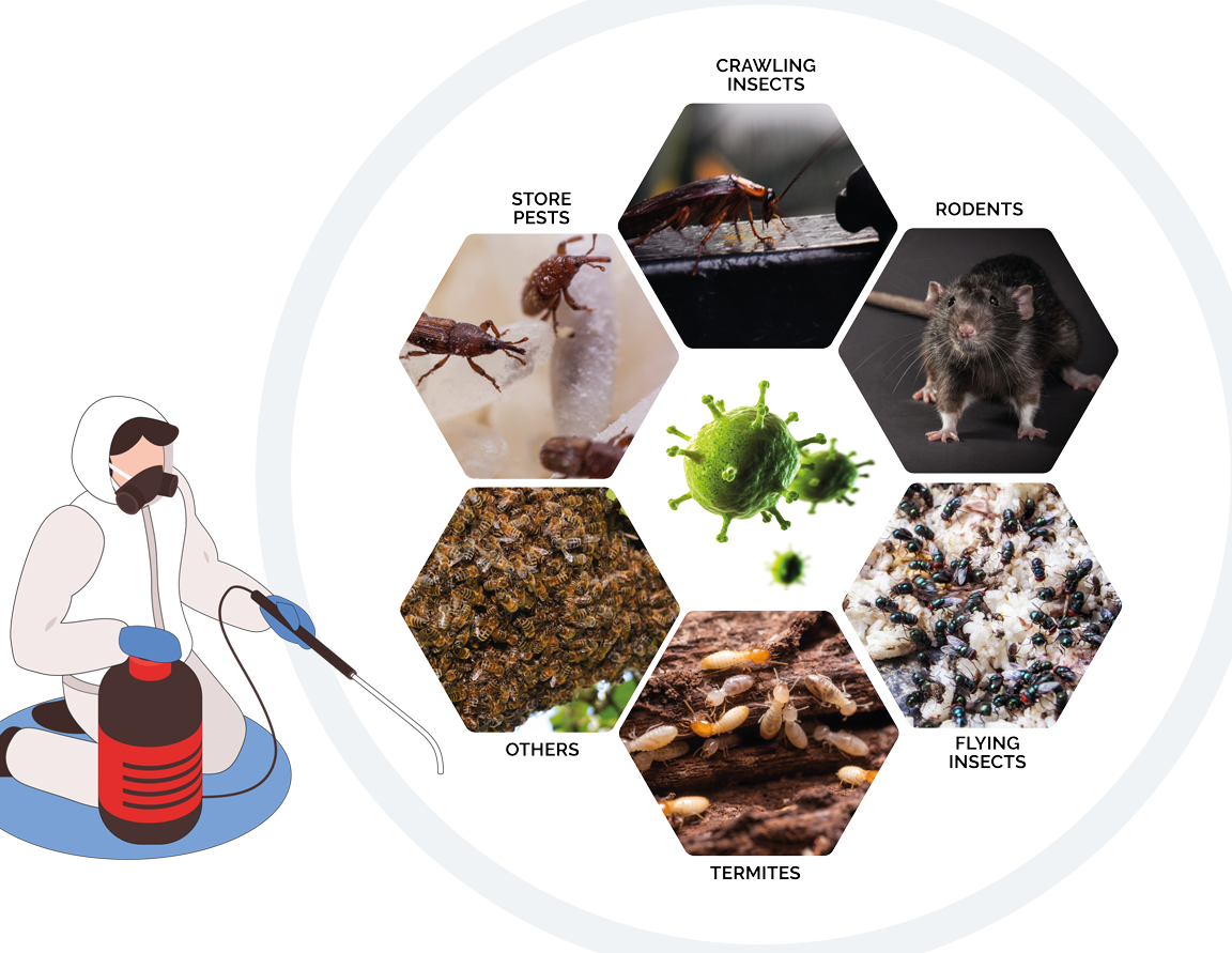 ikari shodoku malaysia sdn bhd johor bahru branch