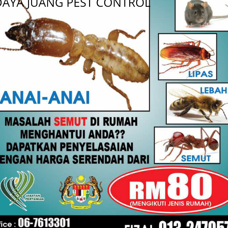 kedai anai anai pest control service