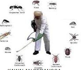 kosfa pest control kelantan kawalan serangga perosak