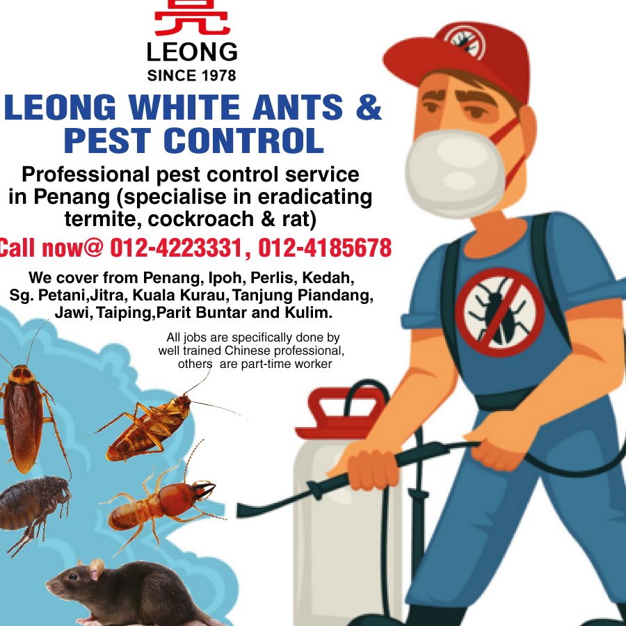 leong white ants pest control service