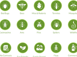 LPC Services (Liezie Pest Control) 1 lpc services liezie pest control