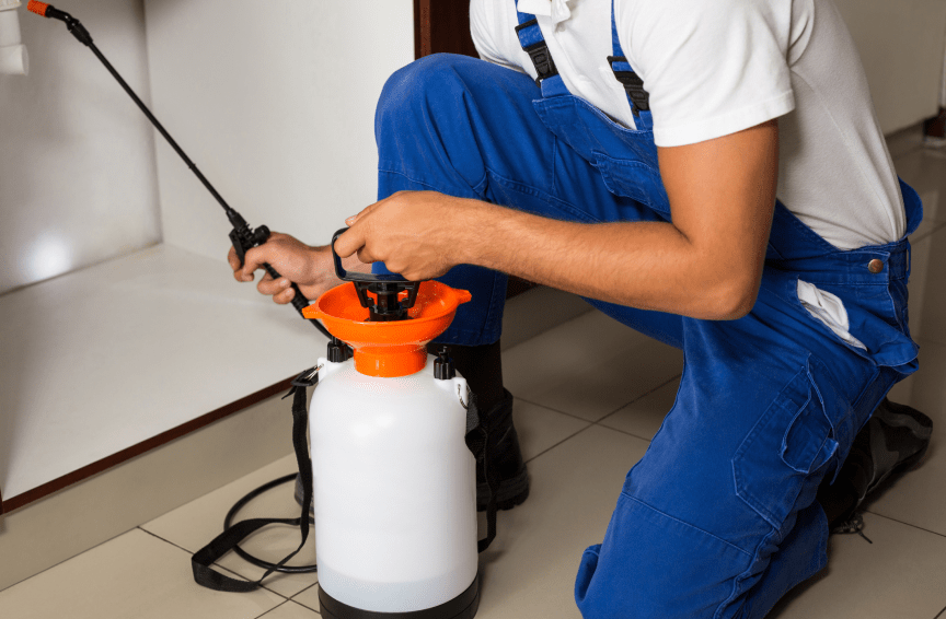pangolin pest control service