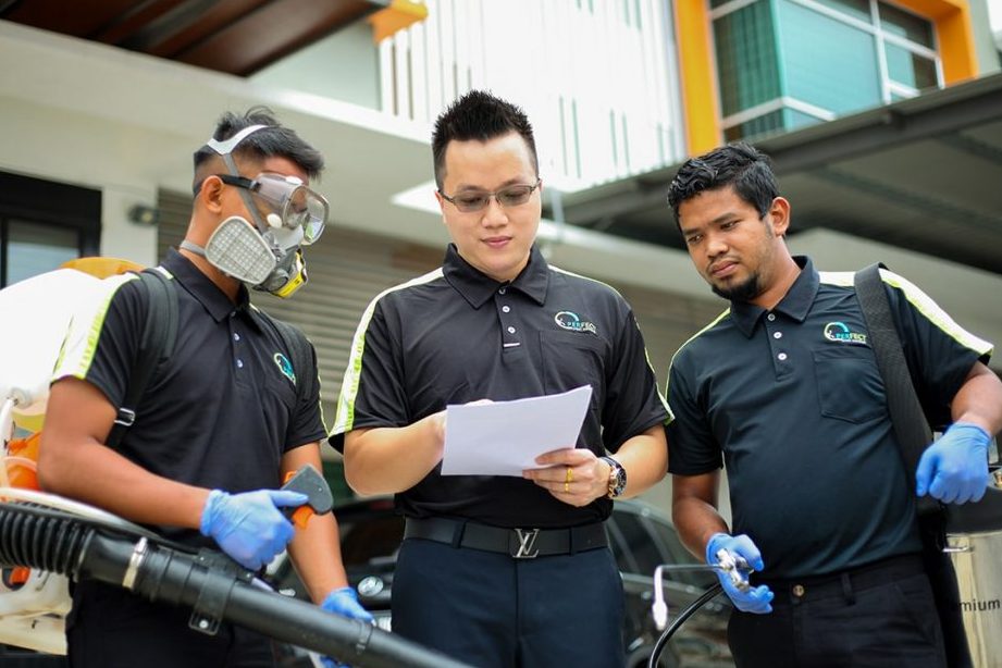 PERFECTION PEST MANAGEMENT SDN BHD (Penang Branch) 1 perfection pest management sdn bhd penang branch
