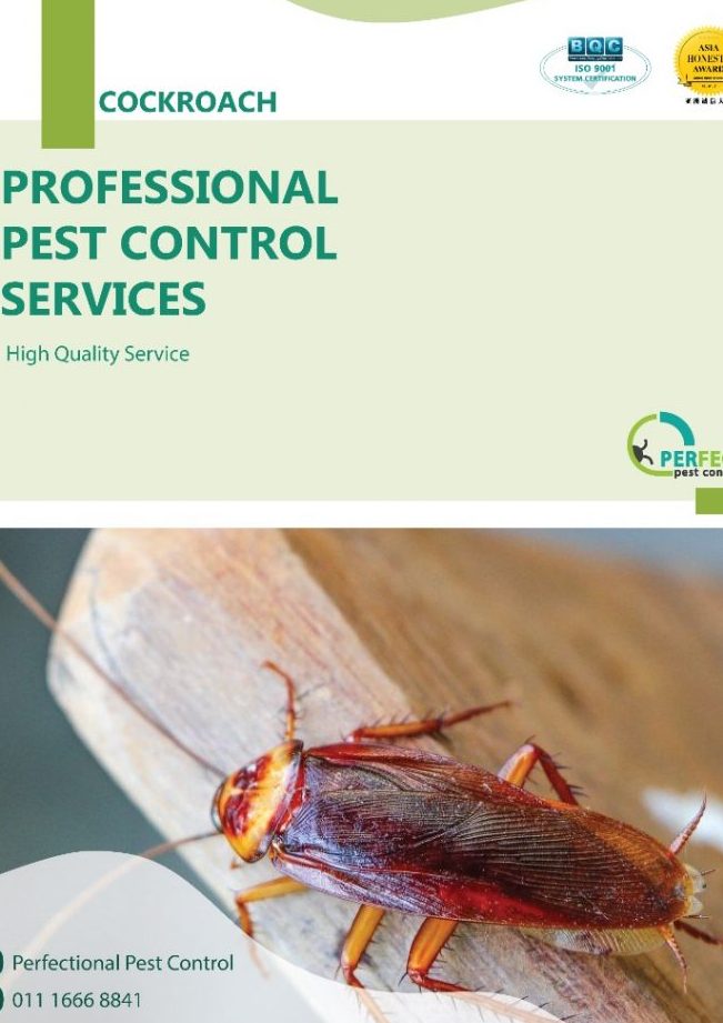 Perfectional Pest Solution (KL) 1 perfectional pest solution kl