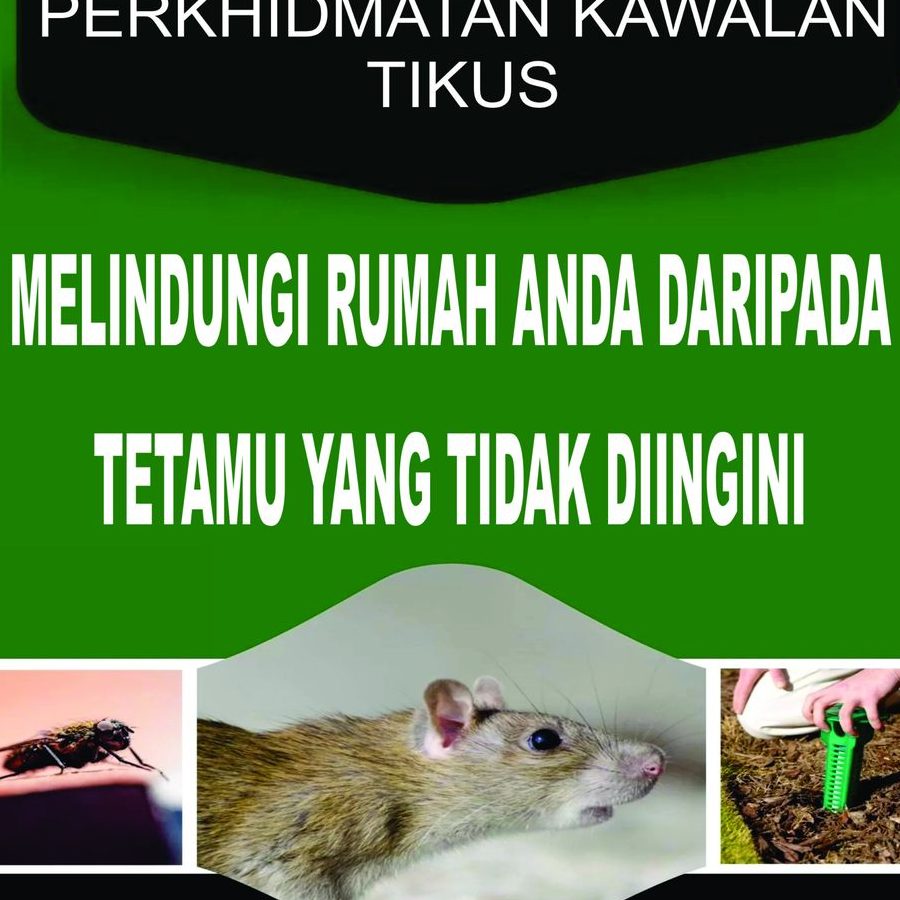 perkhidmatan kawalan perosak terbaik di bagan serai