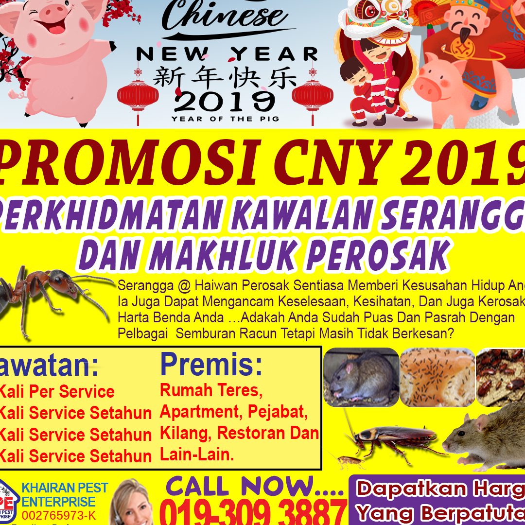 perkhidmatan kawalan perosak terbaik di bidur