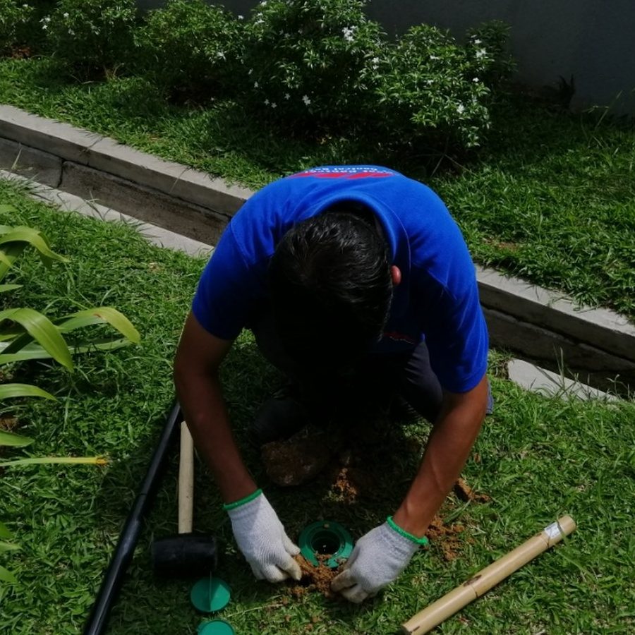 perkhidmatan kawalan perosak terbaik di kampar