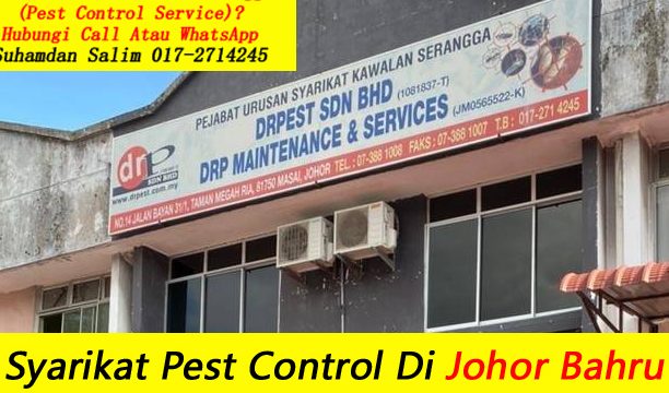 perkhidmatan kawalan perosak terbaik di kampung ayer molek