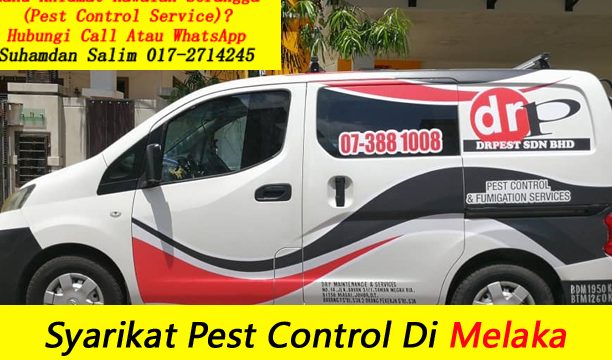 perkhidmatan kawalan perosak terbaik di melaka