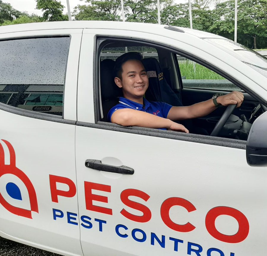 perkhidmatan kawalan perosak terbaik di peringat