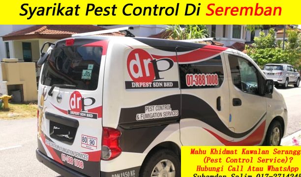 perkhidmatan kawalan perosak terbaik di seremban
