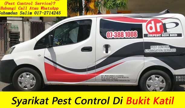 perkhidmatan kawalan perosak terbaik di tanah rata