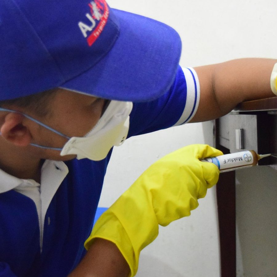 perkhidmatan kawalan perosak terbaik di temerluh