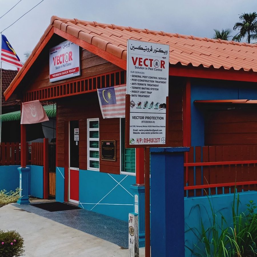 pest control terbaik di kampong pangkal kalong