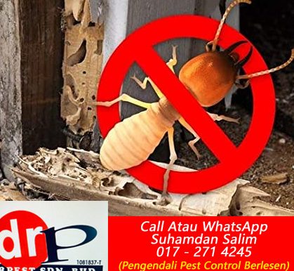 pest control terbaik di labis