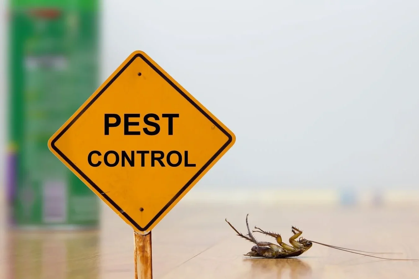 pest control 1 pest control