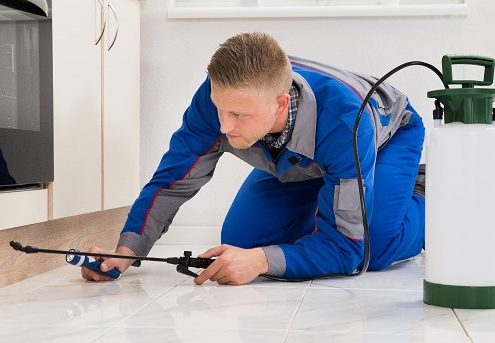 Pest Terminator Services 1 pest terminator services