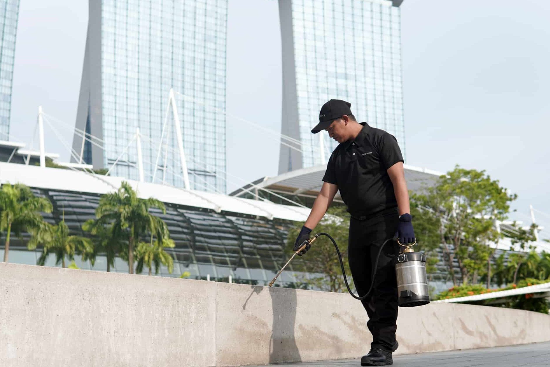 PestBusters Malaysia 1 pestbusters malaysia