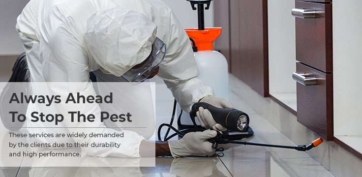 PESTKIL SOLUTION 1 pestkil solution