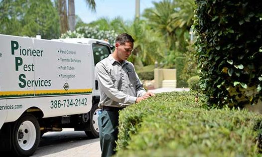 Pioneer Pest Control Service 1 pioneer pest control service