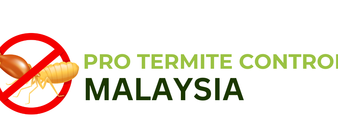 Pro Termite Control Malaysia 1 pro termite control malaysia