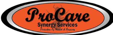 PROCARE SYNERGY SERVICES 1 procare synergy services