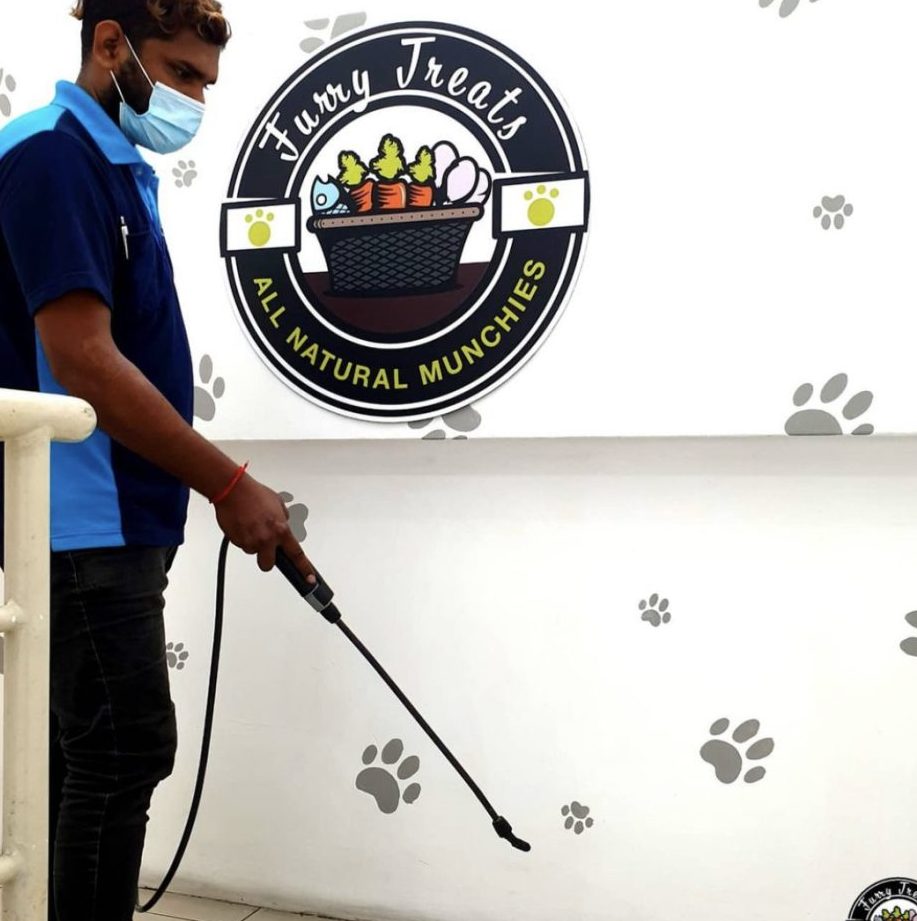 Punchout Pest Services 1 punchout pest services