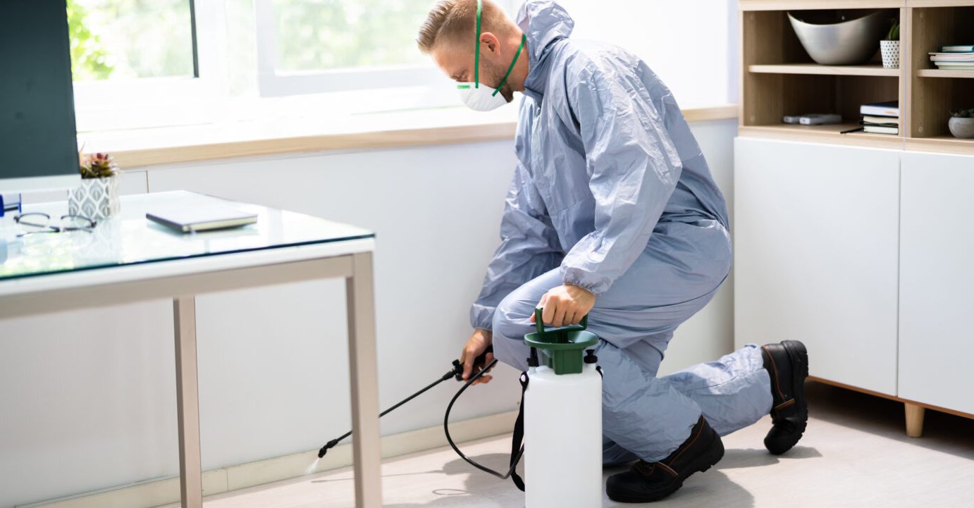 Qbal pest control services 1 qbal pest control services