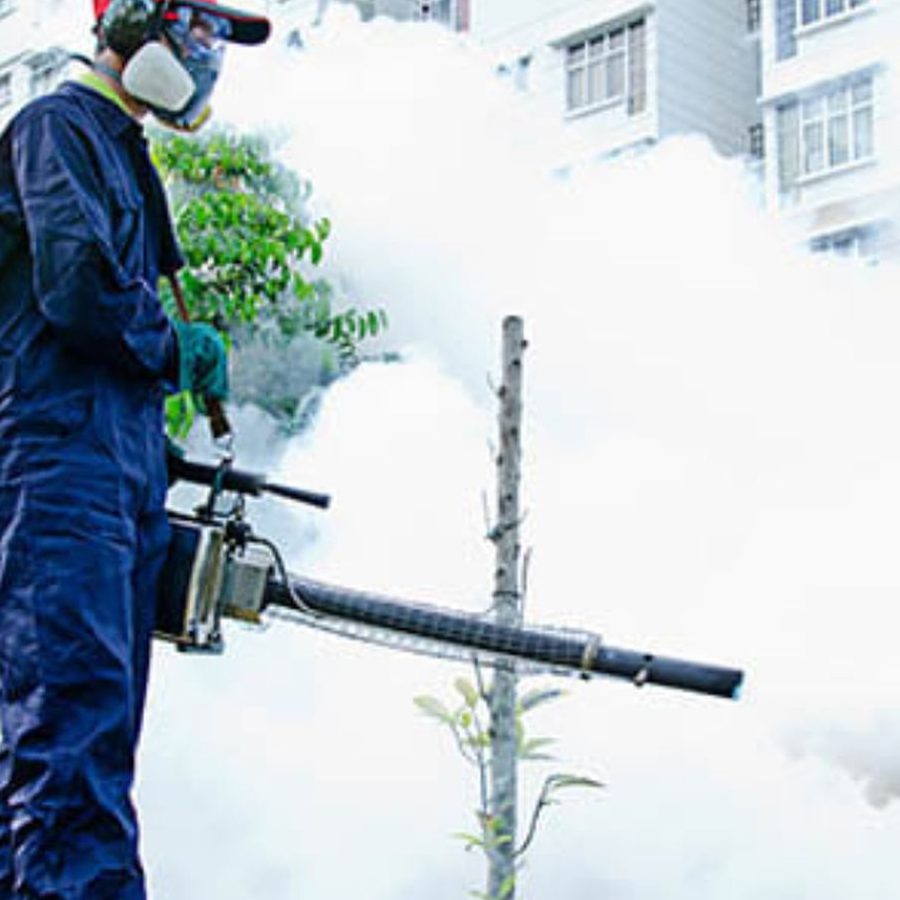 Rentokil Pest Control Malaysia - Butterworth, Kedah & Perlis 1 rentokil pest control malaysia butterworth kedah perlis