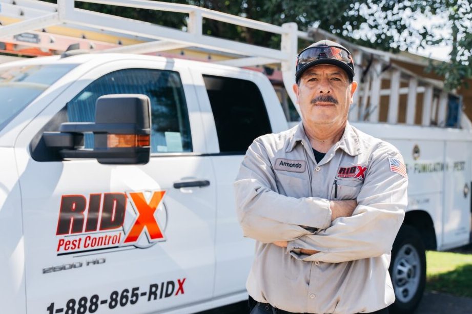 rizq pest management