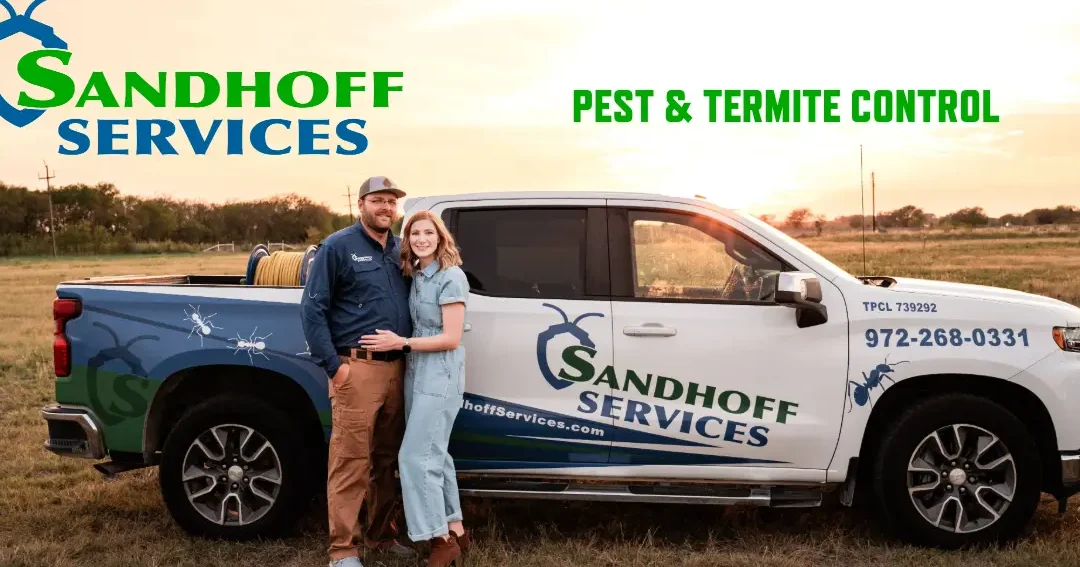 Sandfield Pest Control 1 sandfield pest control