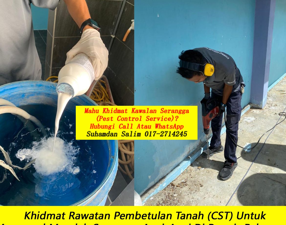 servis kawalan perosak terbaik di kampung kilim