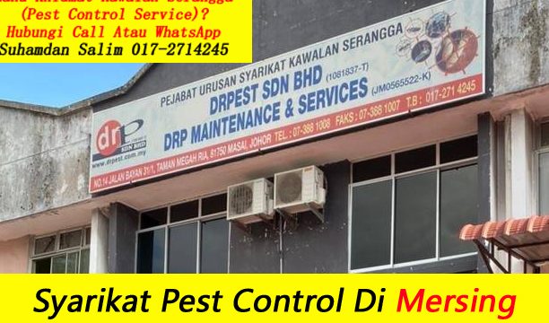 servis kawalan perosak terbaik di sibu