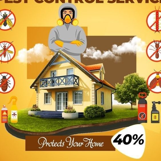 Silver Shield Pest Control 1 silver shield pest control