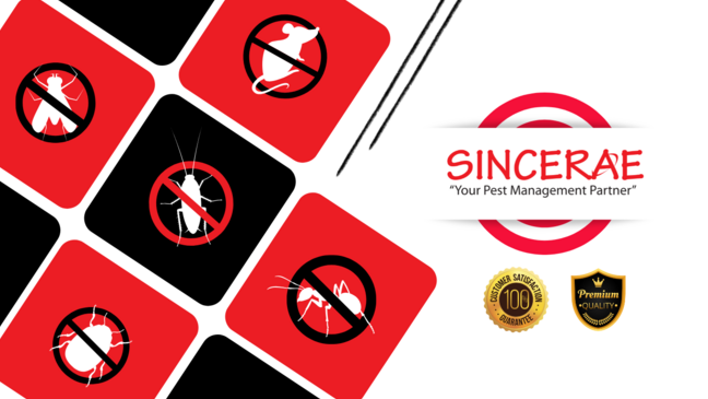 Sincerae Services (M) Sdn Bhd 1 sincerae services m sdn bhd