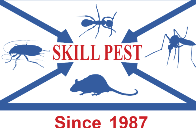 skill pest control
